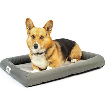 PetFusion 라벤더 주입 강아지 침대 쿨링 | 솔리드 Certi-PUR-US 정형외과 메모리 폼 불안 방지 크레이트 매트 진정 및 사계절용 온도 제어 1년 지속143868, M - Fits 30