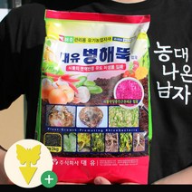 [농대나온남자] 병해뚝 입제 3kg+끈끈이트랩 토양살균제