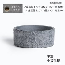 대형 화분 거실 베란다 인테리어 단지 미술관 식물원, E