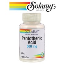 솔라레이 판토텐산 500 mg 수용성 비타민 B5 Pantothenic Acid 메타볼리즘 비건 100 베지캡슐