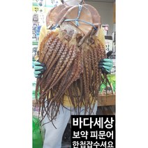 말린문어/ 피문어/마른문어/건문어 - 자연산 보약 피문어 특대 대 중 소, 말린문어 대