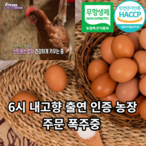 [방사사육농법계란] 마미템 무항생제 동물복지 농장직영 맥반석 구운란 구운계란 유정란 참숯 훈제란 30구 60구 90구 초란 중란 대란 특란, 구운유정초란(30구)