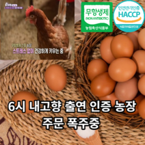 [구운소금증정] 참숯돌로 구운계란 30+30 (총60구/개당35g/초란), 단품