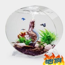 수조 어항 인테리어 장식 구피 금붕어 물고기키우기, 세트 510L 기본 조경 3색