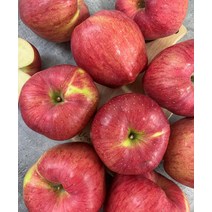 문경 청송사과 홍로 부사 꿀사과 못난이 가정용 중과 5kg