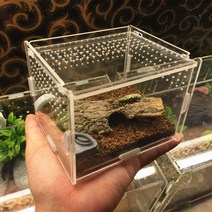 메뚜기 사마귀 타란튤라 아크릴 상자 채집통 사육장, 더 큰 사이즈는 고객센터 문의주세요