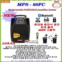 Pro-main 소형충전식블루투스 스피커앰프 MPS-80FC 휴대용 스피커, B타입(핸드+핀마이크 타입)