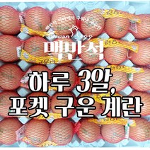 구운계란 30구 갓꾸운닭알 포켓구운란, 구운망1(30구), 1개