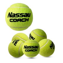 낫소 연습용 코치 테니스공 5개입
