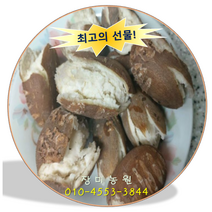 인디언감자(아피오스) 생산자 직판 3kg 5kg 10kg, 5kg 45000원, 1개