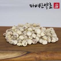 ANGEL 연꽃열매 연자육200g 생 연밥 연꽃씨앗 베트남산 (자연산/건조/연자육/국내산/마이산작물/두손애/바른/건강보감/차/차류/음료/식품 추천), 1개