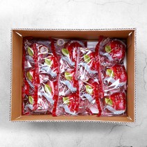 경북 껍질째 먹는 세척사과 2.5kg 3kg 5kg 간편사과, 세척 소과 2.5kg (한입사과) 13~17과
