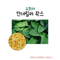[백향기] 칸데릴라왁스 화장품유화제 화장품재료 DIY화장품만들기, 100g