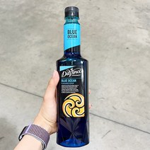DAVINCI 블루오션시럽 750ML, 단품