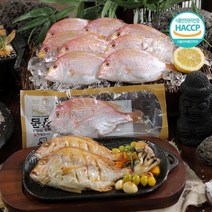 제주 자연산 황돔 24미 총 3.6kg, 없음