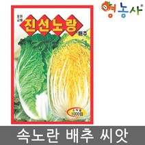 진선노랑 배추씨앗 1000립, 진선노랑배추, 1개