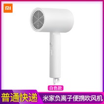 Xiaomi Mijia 음이온 휴대용 헤어 드라이어 여성 홈 이발소 기숙사, Xiaomi Anion 헤어 드라이어 White Ordinary Express