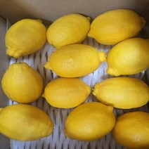 [레몬청1kg수제] 로엘 콤부차 레몬맛 분말스틱 1박스, 5g, 120포
