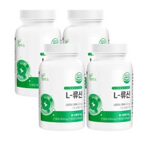시니어프로틴 식물성 필수 아미노산 단백질 약 6개월 프로틴 남자 보충제 WPH WPC 유당 분리 유청 단백질 분지사슬아미노산 보조제 류신 루신 운동후 몸에좋은 단백질 여자 포만감