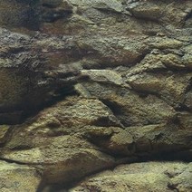 B)백스크린 높이 49cm (10cm단위)-어항배경 그림 시트지/헬로아쿠아