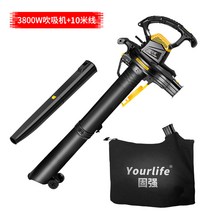 영업용청소기 흡입력 좋은 공업용 유선 청소기 송풍기 고출력 강력한 집진기 산업용 먼지, 3800w 송풍 및 흡입 분쇄기 + 국수 10미터