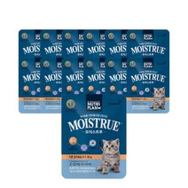 뉴트리플랜 모이스트루 캣 80g 연령별 3종 12입, 뉴트리플랜 모이스트루 캣 키튼