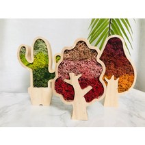 스칸디아모스 나무 선인장 원목 모스 화분 그라데이션 DIY 키트 학교 미술 만들기 교재도구, 핑크, 단풍나무