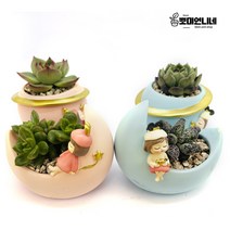 우주 행성 문 소녀 미니 화분 다육이 선인장 홈가든 인테리어 개업 선물 답례품, 3.달빛소녀 블루