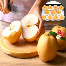 프리미엄 명품 배 선물세트 추석, 특_7.5kg (8~12과)+보자기포함