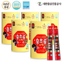 홍초롱 어린이 홍삼 녹용 스틱 30포 (맛있는 유아 키즈 홍삼 진액), 10g, 5개