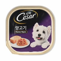 사료에섞는 부드러운 통조림 비숑 캔간식 5개 강아지캔 노령견 영양캔