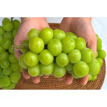 껍질째 먹는 달콤한 샤인 머스켓 1kg 특품, 1개