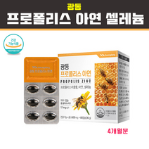 닥터 그린 프로폴리스 플라보노이드 17mg 호주프로폴리스 분말 가루 캡슐 아연 건조효모 꿀벌 초유 구강건강 항산화 구강 향균 코 비염 면역력 증진 면역세포 영양제, 2개, 500mg x 30캡슐