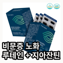 비문증 눈 노화에 좋은 황반변성 루테인 지아잔틴 오메가3 올인원 약국 영양제, 30정, 2개