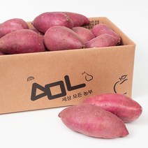 세상모든농부 최상품 꿀고구마 세모농 맛있는 고구마, 세모농 꿀고구마 5kg (긴특.긴상)