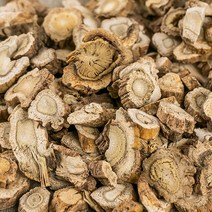 신토불이 국산 약초 독활(땅두릅뿌리) 600g, 16H2_국산독활(땅두릅뿌리)600g