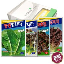 상추씨앗 모음 4종 청치마 적축면 적치마 먹치마