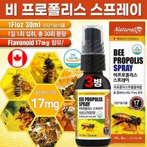 식약처 인증 캐나다 비 프로폴리스 스프레이 원액 프로폴리스 추출물 함량 성분 구강 건강 향균 항산화 도움 온 가족 성장기 청소년 직장인 부모님 선물 beepropolis 고함량, 30ml x 3병