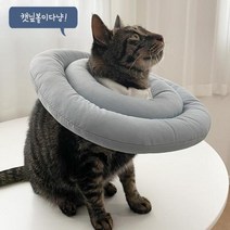 뚜또가또 반려동물 가벼운 넥카라 S XL 동물병원납품, 스카이블루, L
