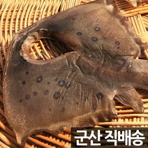 군산항임피 반건조 가오리 5미 군산항직송, 1세트, 700g 내외