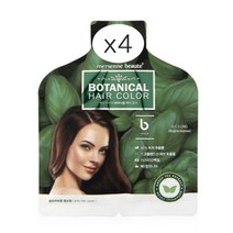 메르센보떼 보타니컬 헤어칼라 새치염색약 브라운120gx4개, 브라운, 4개