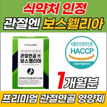 무릎 관절 연골 앤 엔 보스웰리아 이병헌 프롬바이오 2세대 보스 보수 엘리아 웰릭산 벨리스 웰리스 남성 여성 어깨 허리 등 손목 영양제 부모님 인도 산 식 약 처 초록 잎 입 홍합, 1개, 관절연골엔 보스웰리아 (1개월분)