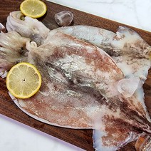 냉동 손질오징어 1kg 5미 내외 급냉오징어 원양 오징어 냉동 오징어 냉동 손질오징어 활복오징어 오늘저녁메뉴 오징어찜