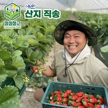 가당딸기1kg 구매 관련 사이트 모음
