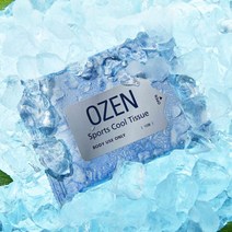 오젠 아이스 샤워 스포츠 쿨티슈 1팩 10매 LXOZEN10, LXOZEN10 1팩 10매, 1개