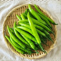 아삭이와 청양고추의 만남! 청양아삭이고추 1.2kg 내외, 1개