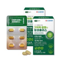 집중력영양제 뇌에좋은영양제 은행잎추출물 징코빌로바, 0.5g