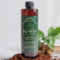 꽃피우는시간 뿌리영양제 500ml