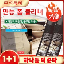 1+1 차량실내크리너 강력하게 오염 제거 물은 필요 없고 닦기만 하면 깨끗합니다., 450ml 블랙*1+1병, 650ml