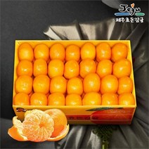 보섭이네푸드 가락시장 직송 제주효돈감귤 5kg 37 40입내 2L, one color/free